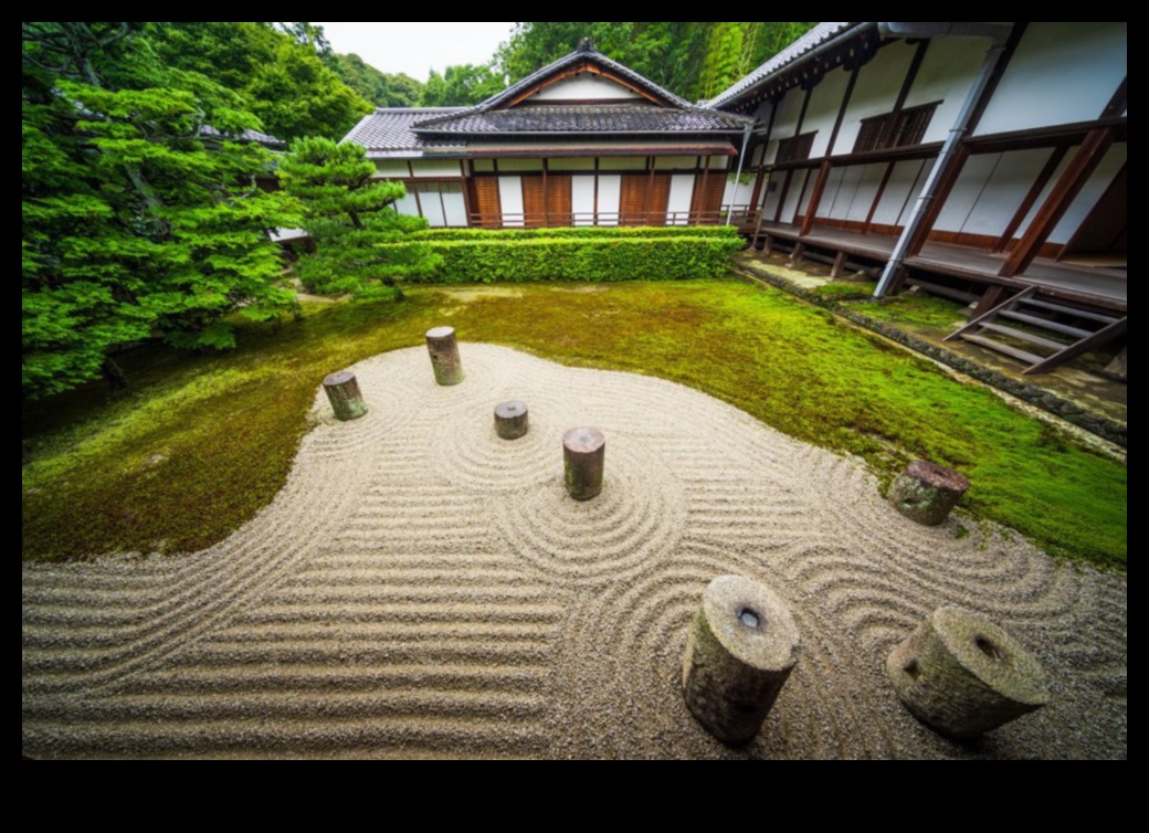 Zen Taşları ve Karesansui Dalgaları: Japon Bahçesi Büyüsü