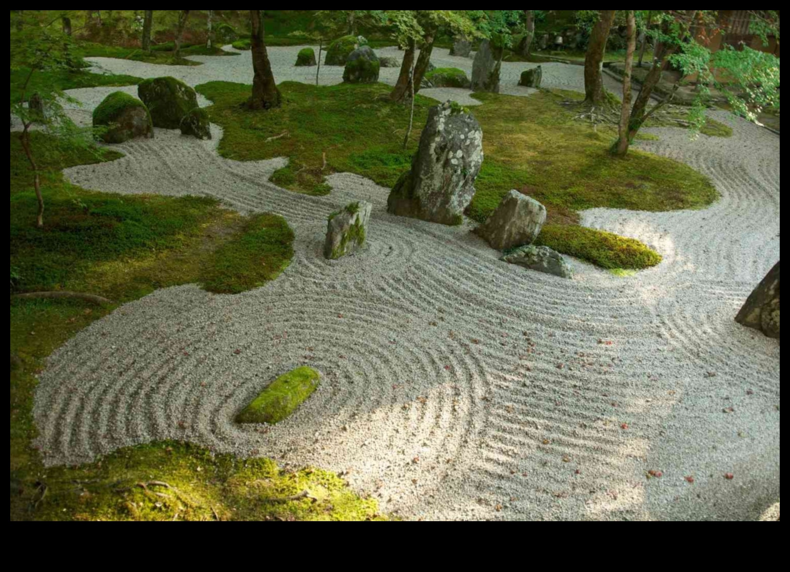 Zen Taşları ve Karesansui Dalgaları: Japon Bahçesi Büyüsü